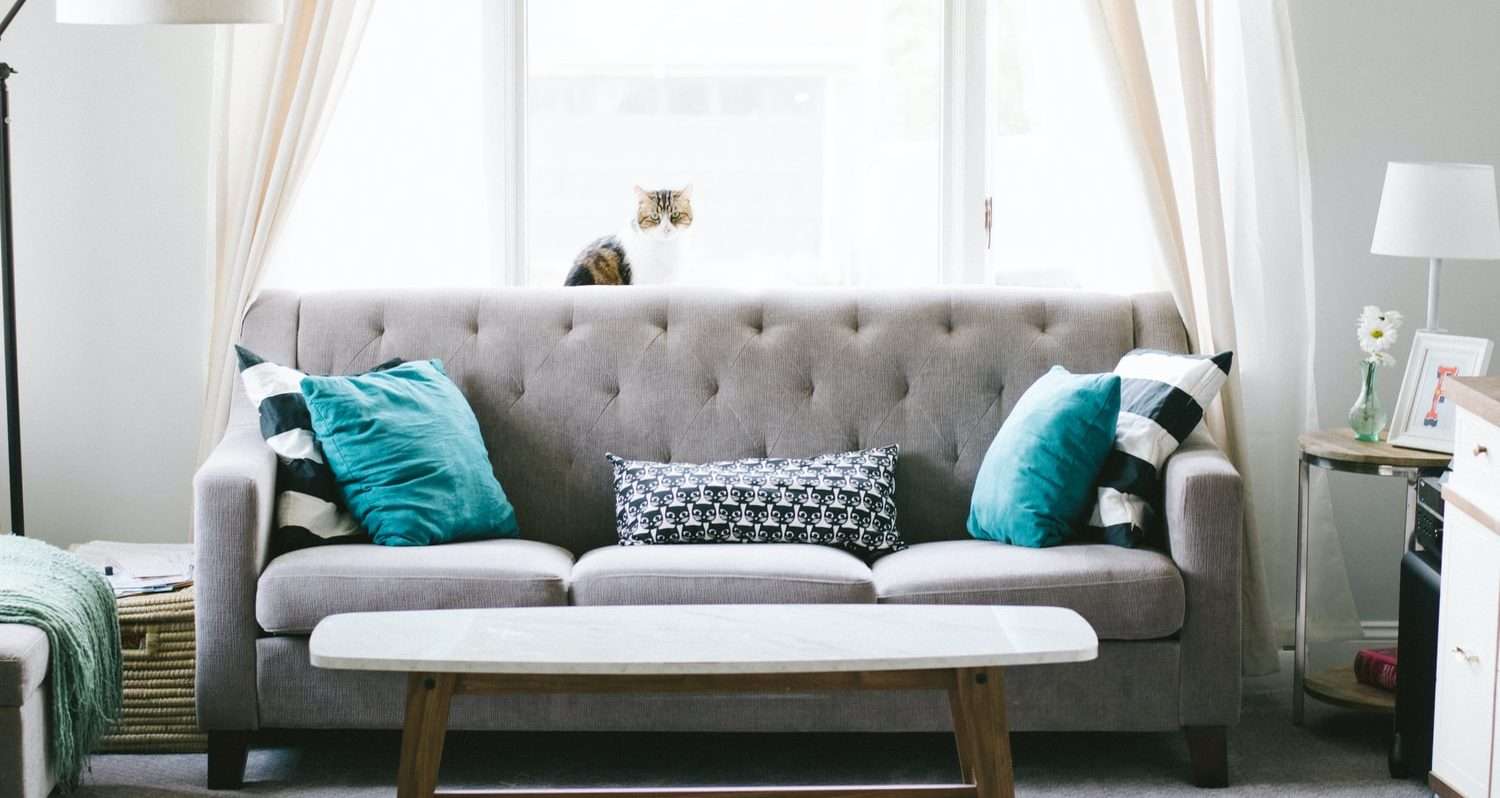 A gray sofa with teal and patterned pillows sits in front of a large window, where a cat lounges on the sill. In this cozy Section 8 home, a white coffee table completes the inviting scene.
