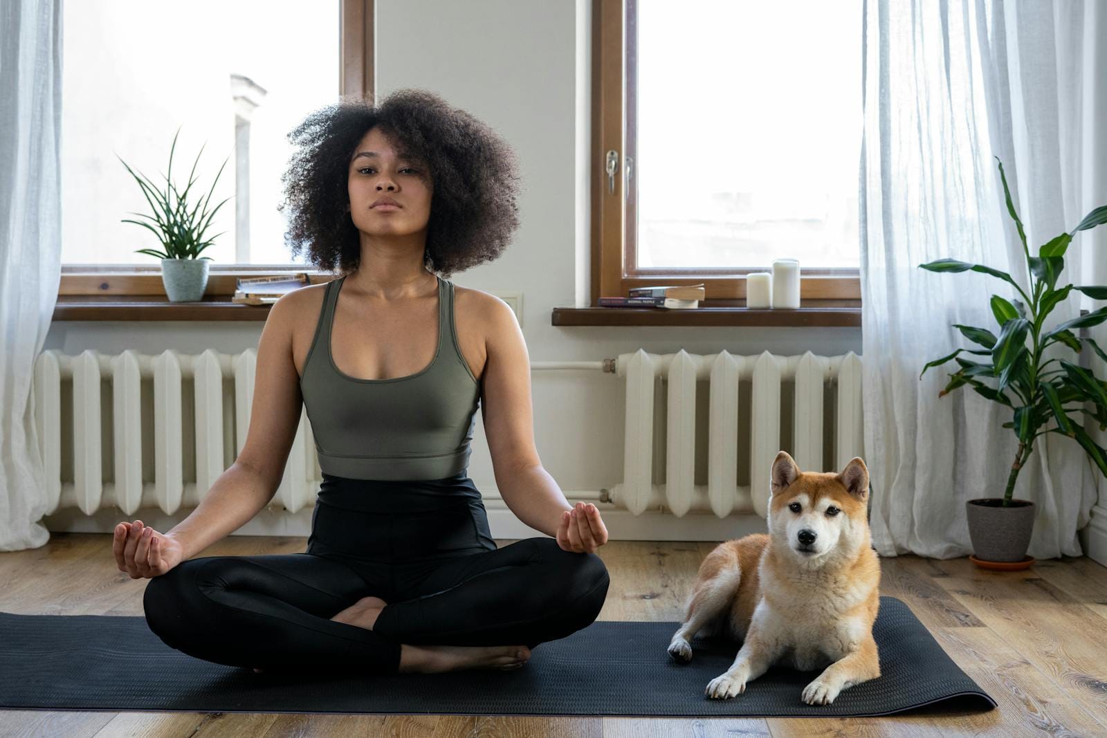 A person sits cross-legged on a yoga mat meditating, with a dog lying beside them, enjoying the peaceful ambiance. Sunlight streams through large windows, illuminating vibrant plants. In this serene setting, one might wonder if Section 8 housing would allow such harmonious companionship for tenant and pet.